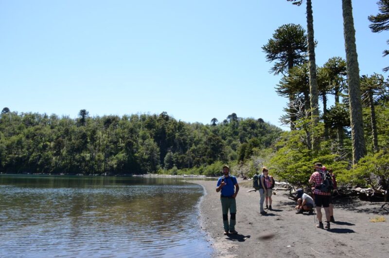 Pucon: Full-Day Villarrica National Park Hike - Key Points