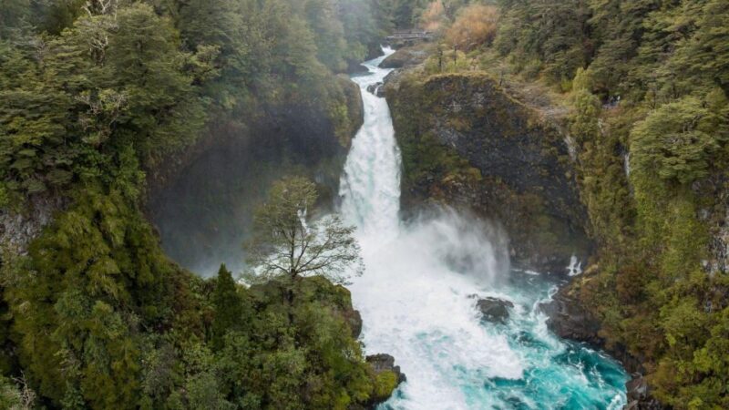 Pucon: Private Full-Day Huilo Huilo - Key Points