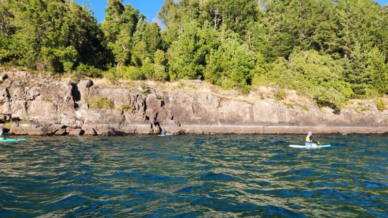 Pucon: Stand up Paddle Trip on the Villarrica Lake - Scenic Viewpoints
