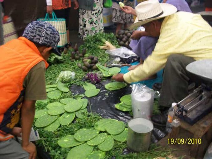 Puebla: 5-Hour Culinary Tour With Tastings - Customer Reviews Summary