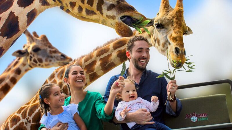 Puebla Africam Safari Park, Live an Unforgettable Adventure! - Breathtaking Wildlife Environments
