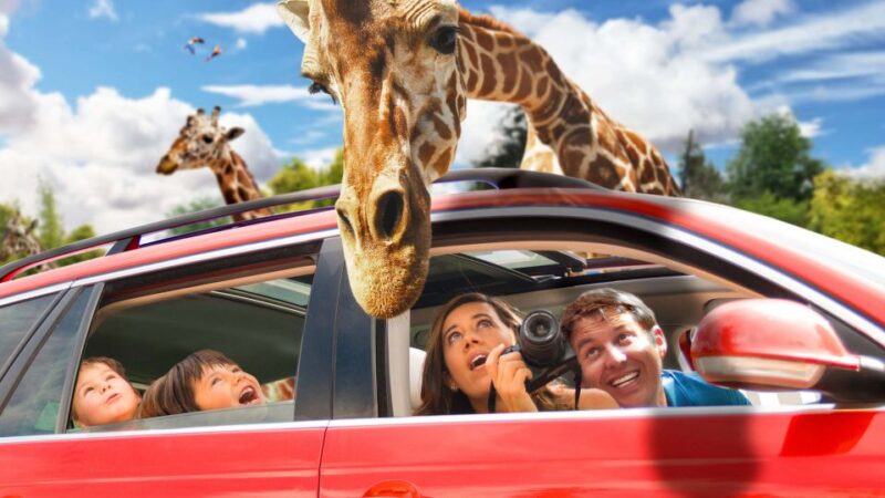 Puebla Africam Safari Park, Live an Unforgettable Adventure! - Included in the Experience