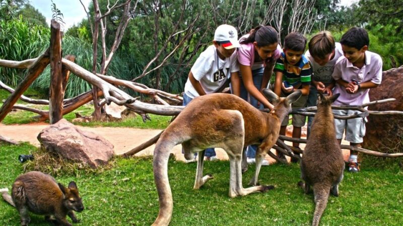 Puebla Africam Safari Park, Live an Unforgettable Adventure! - Visitor Information and Policies