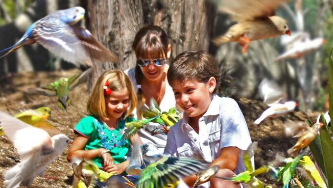Puebla Africam Safari Park, Live an Unforgettable Adventure! - Feedback From Travelers