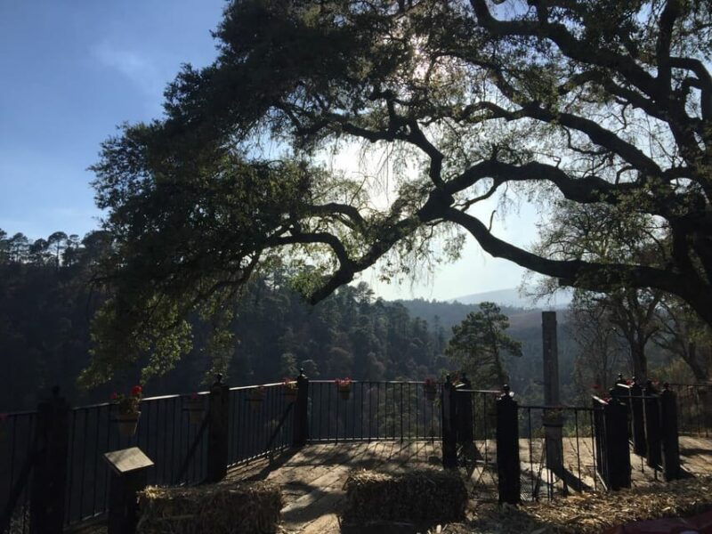 Puebla: Alpinia Mountain and Nature Park - Ticket Information and Policies