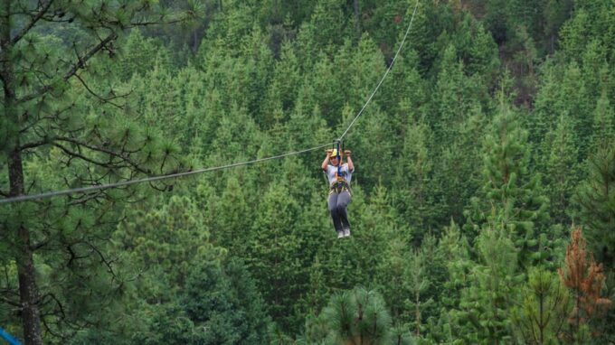 Puebla: Alpinia Mountain and Nature Park - Important Visitor Information
