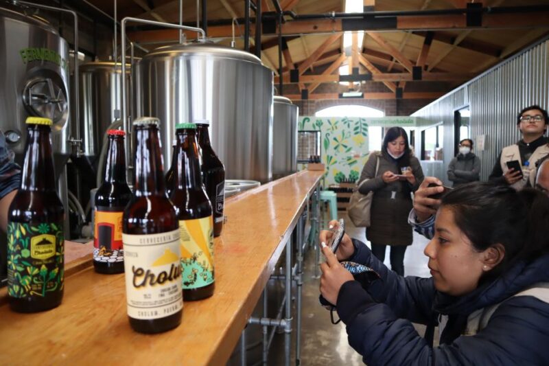 Puebla: Cholula Craft Beer Tour by Tram - Highlights of the Experience