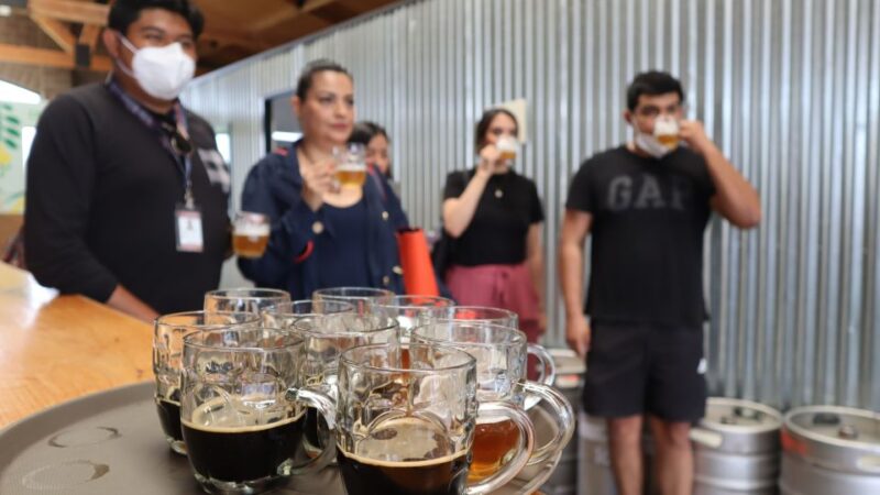 Puebla: Cholula Craft Beer Tour by Tram - Detailed Tour Information