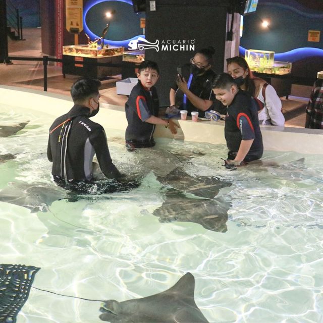 Puebla: Ticket to Aquarium Michin - Getting to Michin Aquarium