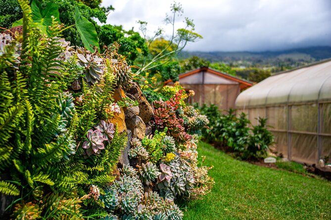 Pueo Farm Tour in Upcountry Kula Maui Hawaii - Taking in Upcountry Kulas Agriculture