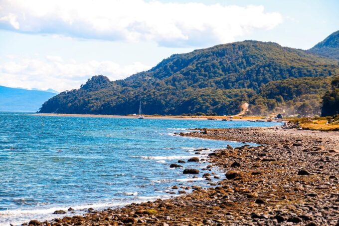 Puerto Almanza & Harberton Ranch: Private Tour - Scenic Drive and Sightings