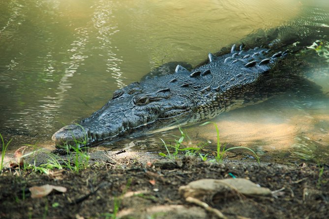 Puerto Angel Exotic Animal Wildlife Experience - Tour Details