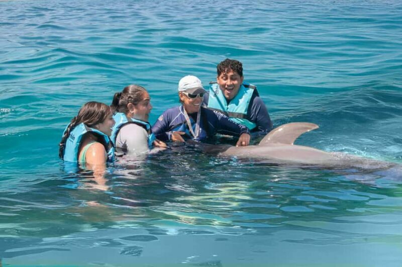 Puerto Aventuras: Dolphin Connection & Manatee Interaction - Introduction: A Unique Marine Encounter in Puerto Aventuras