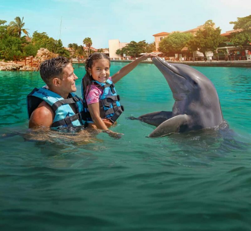 Puerto Aventuras: Dolphin Connection & Manatee Interaction - FAQ: Your Questions Answered
