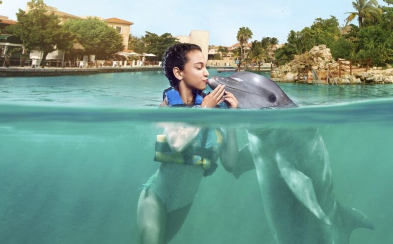 Puerto Aventuras: Dolphin Encounter With Buffet Lunch - Dolphin Interaction Activities