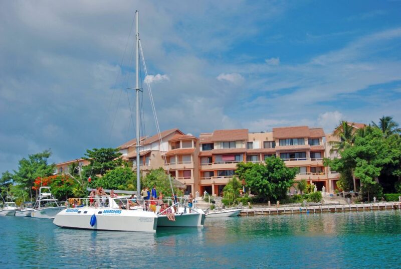 Puerto Aventuras: Dolphin Encounter With Buffet Lunch - Sights and Sounds