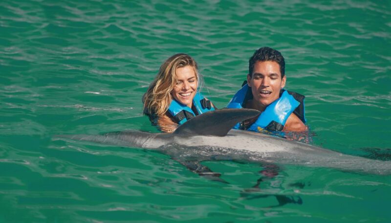 Puerto Aventuras: Dolphin Royal Swim & Kayaking With Buffet - Inclusions and Amenities