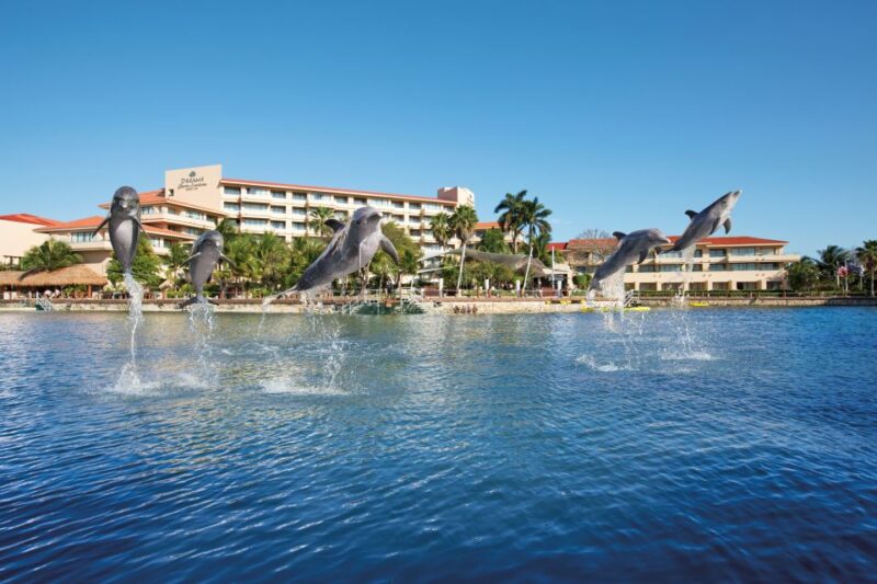Puerto Aventuras: Dolphin Royal Swim & Kayaking With Buffet - Buffet Service Schedule