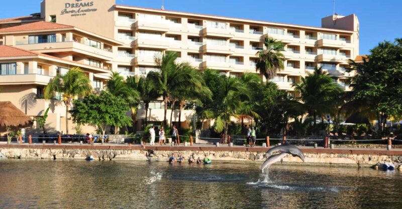 Puerto Aventuras: Dolphin Swim Adventure - Key Points