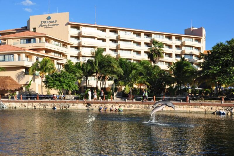 Puerto Aventuras: Dolphin Swim Adventure - Participant Information