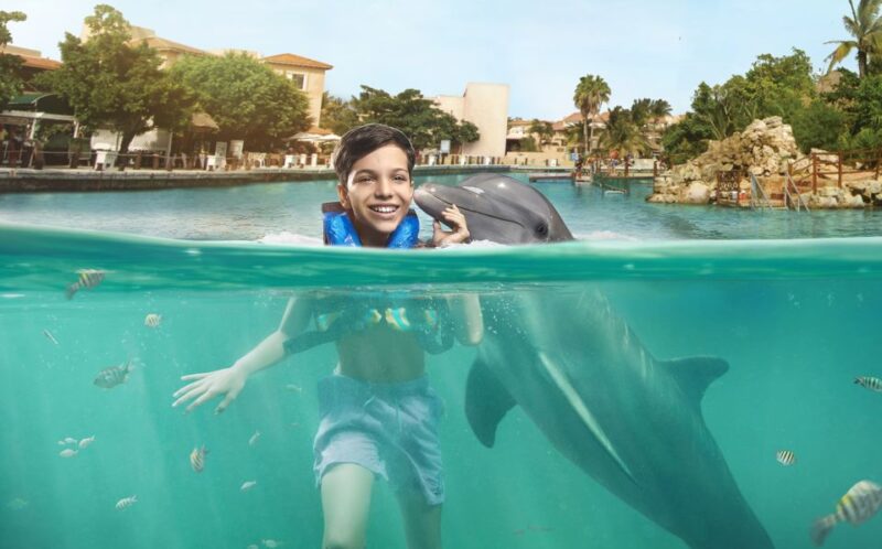 Puerto Aventuras: Dolphin Swim, Sea Lions, Manatees, & Lunch - Key Points