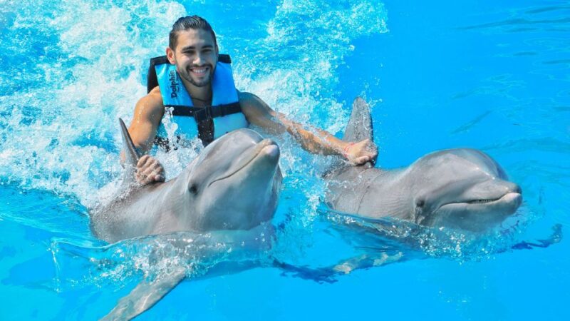Puerto Aventuras: Dolphin Swim, Sea Lions, Manatees, & Lunch - Interacting With Sea Lions
