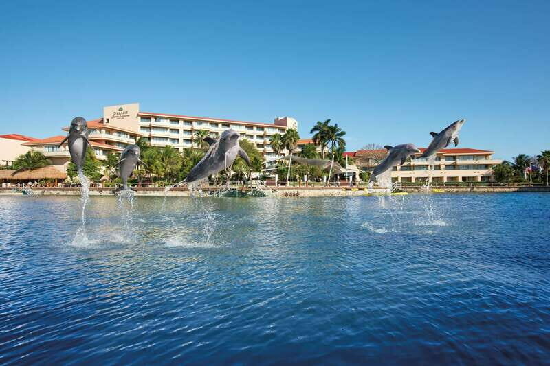 Puerto Aventuras: Dolphins, Manatee & Sea Lion interaction - In-Depth Review of the Experience