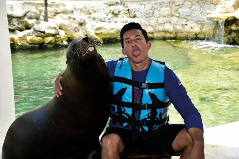 Puerto Aventuras: Dolphins, Manatee & Sea Lion interaction - Final Thoughts