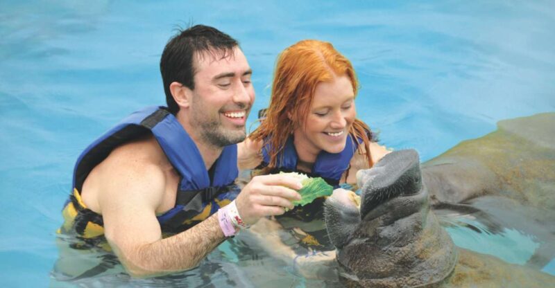 Puerto Aventuras: Manatee Encounter - Manatee Interaction and Safety