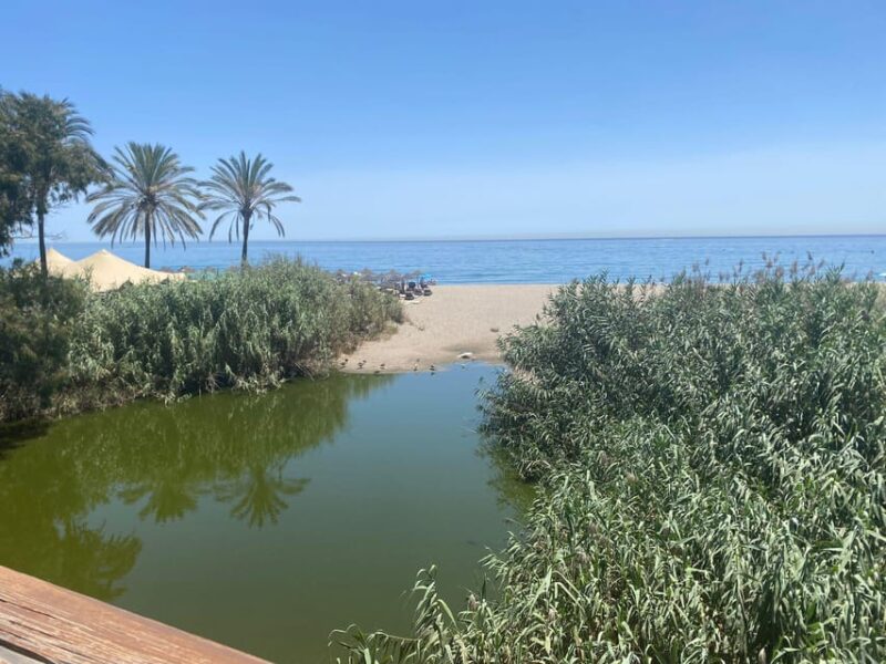 Puerto Banus: Premium Bike Tour Puerto Banus Incl. Tapas and Drink - Participant Restrictions