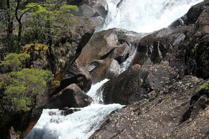 Puerto Blest Cruise & Waterfalls Hike With Optional Frias Lake - Inclusions and Pricing