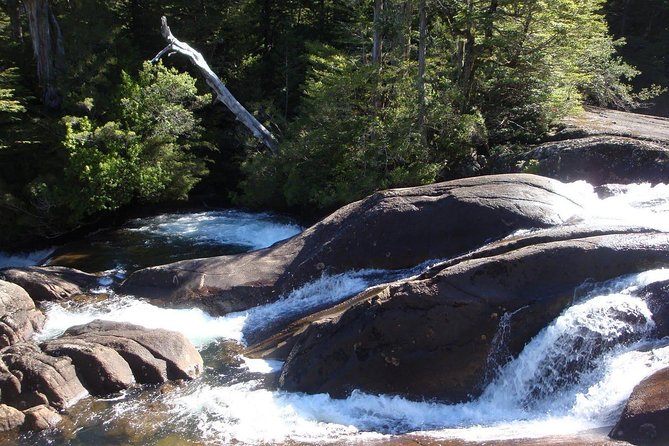 Puerto Blest Cruise & Waterfalls Hike With Optional Frias Lake - Customer Feedback Highlights