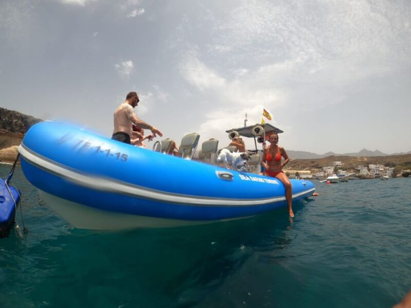 Puerto Colon: Dolphin & Whale Watching Cruise W/ Masca Stop - Key Points