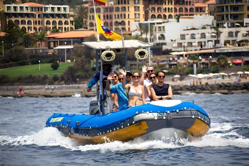 Puerto Colon: Dolphin & Whale Watching Cruise W/ Masca Stop - Masca Bay Exploration