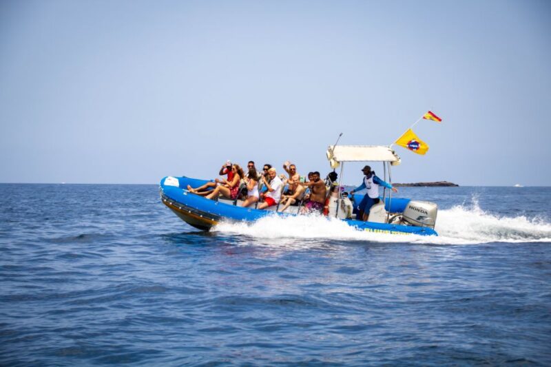 Puerto Colon: Dolphin & Whale Watching Cruise W/ Masca Stop - Meeting Point and Arrival