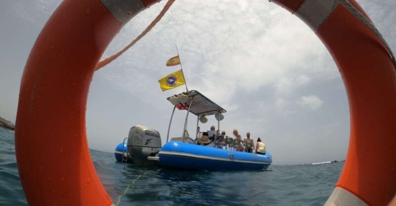 Puerto Colon : Dolphin & Whale Watching on a Speedboat - Key Points