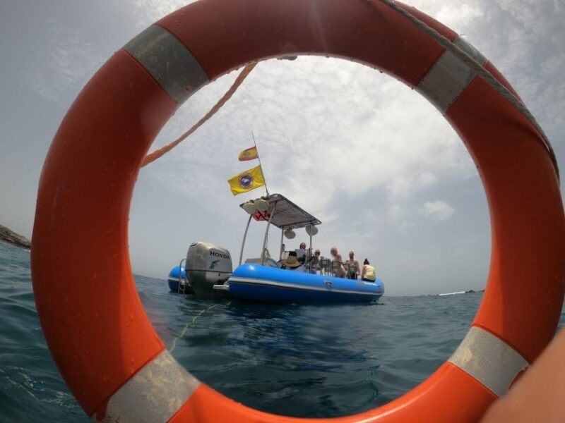 Puerto Colon : Dolphin & Whale Watching on a Speedboat - Snorkeling and Swimming Opportunities