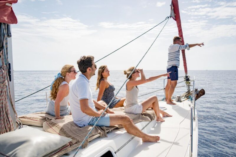 Puerto Colon: Whale and Dolphin Watching Yacht Trip - Booking Information