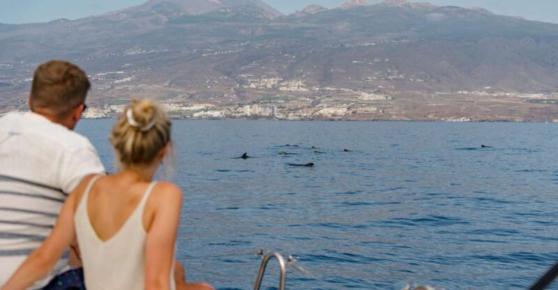 Puerto Colon: Whale and Dolphin Watching Yacht Trip - Itinerary Highlights