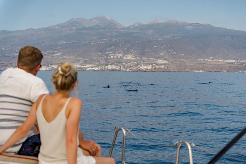 Puerto Colon: Whale and Dolphin Watching Yacht Trip - Included Amenities