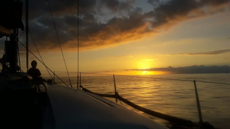 Puerto Colon: Whale-Watching Sailing Tour With Meal & a Swim - Highlights of the Experience