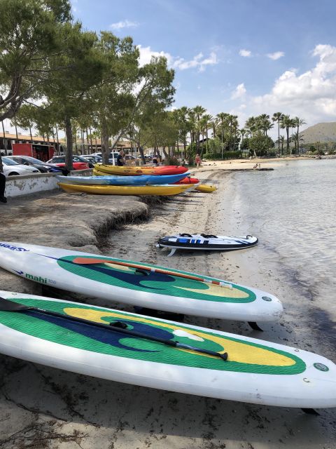 Puerto De Alcudia: Stand-Up Paddleboard Lesson - Key Points