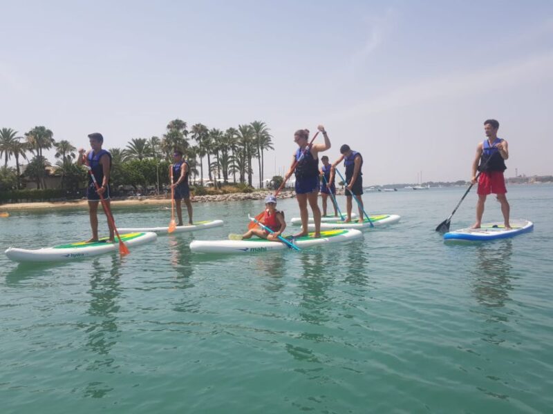 Puerto De Alcudia: Stand-Up Paddleboard Lesson - Pricing and Cancellation Policy