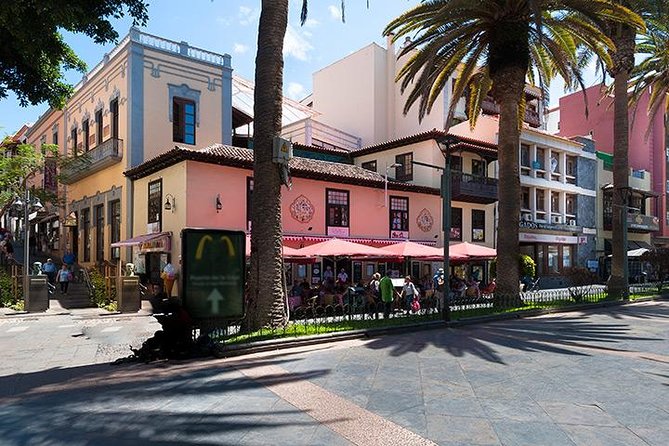 Puerto De La Cruz City Tour With Transfers - Traveler Photos and Experiences