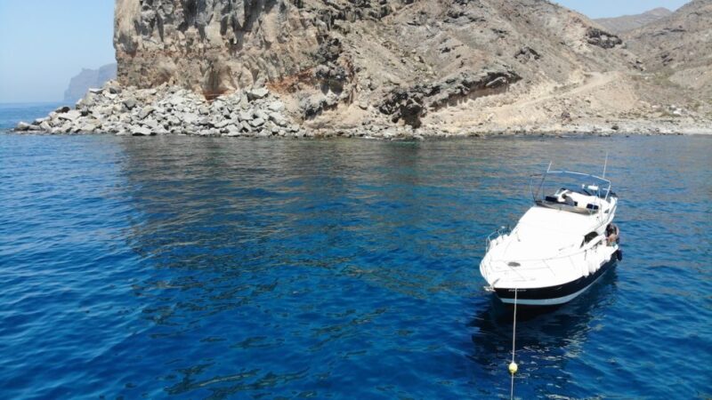 Puerto De Mogan: Dolphin Boat Trip - Dolphin Spotting Opportunities