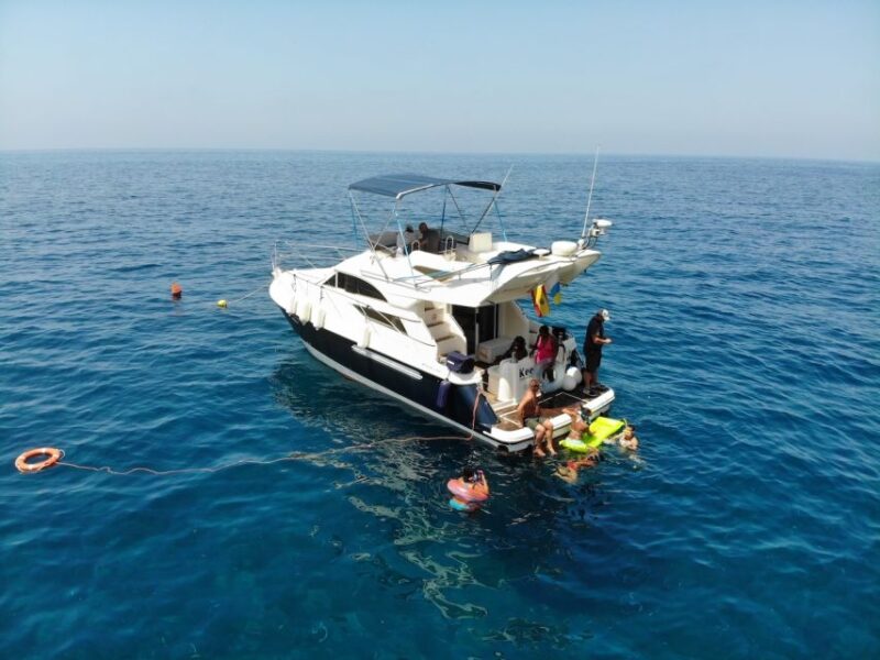 Puerto De Mogan: Dolphin Boat Trip - Suitability for Different Travelers