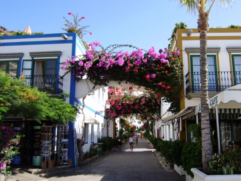 Puerto De Mogan: Friday Market Experience - Transportation and Pickup Information