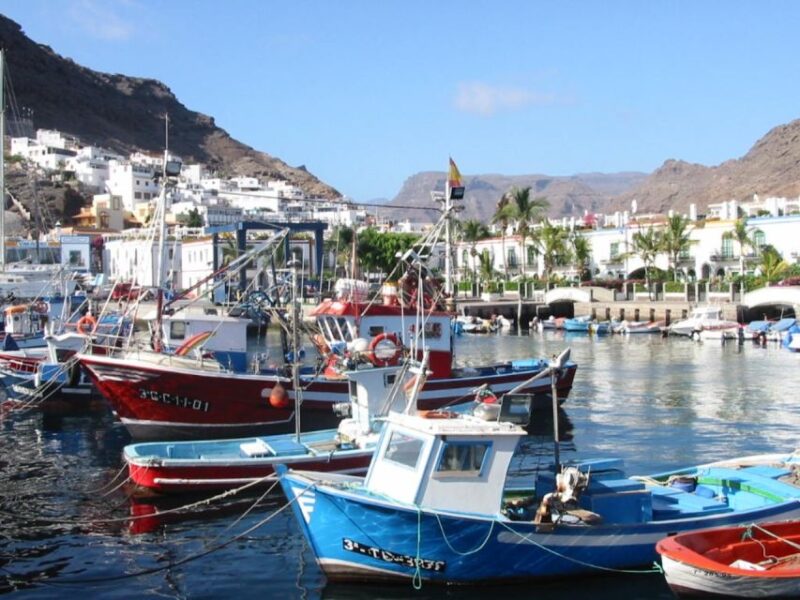 Puerto De Mogan: Friday Market Experience - Shops and Leisure Services