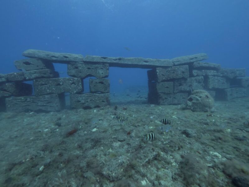 Puerto De Mogán: Submarine Tour - Booking Information