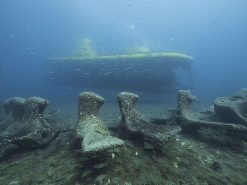 Puerto De Mogán: Submarine Tour - Participant Restrictions
